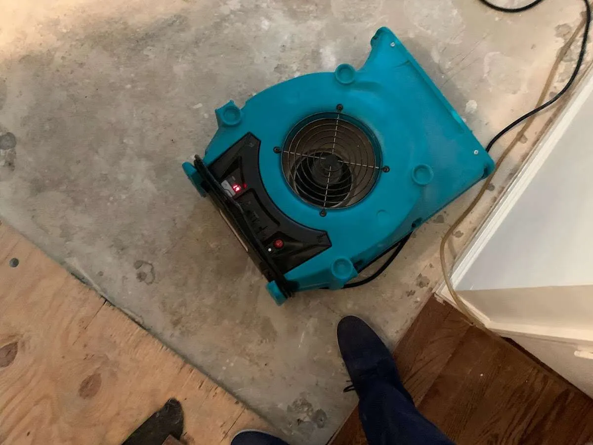 Air mover drying subfloor during Leak Detection & Repair in Senatobia